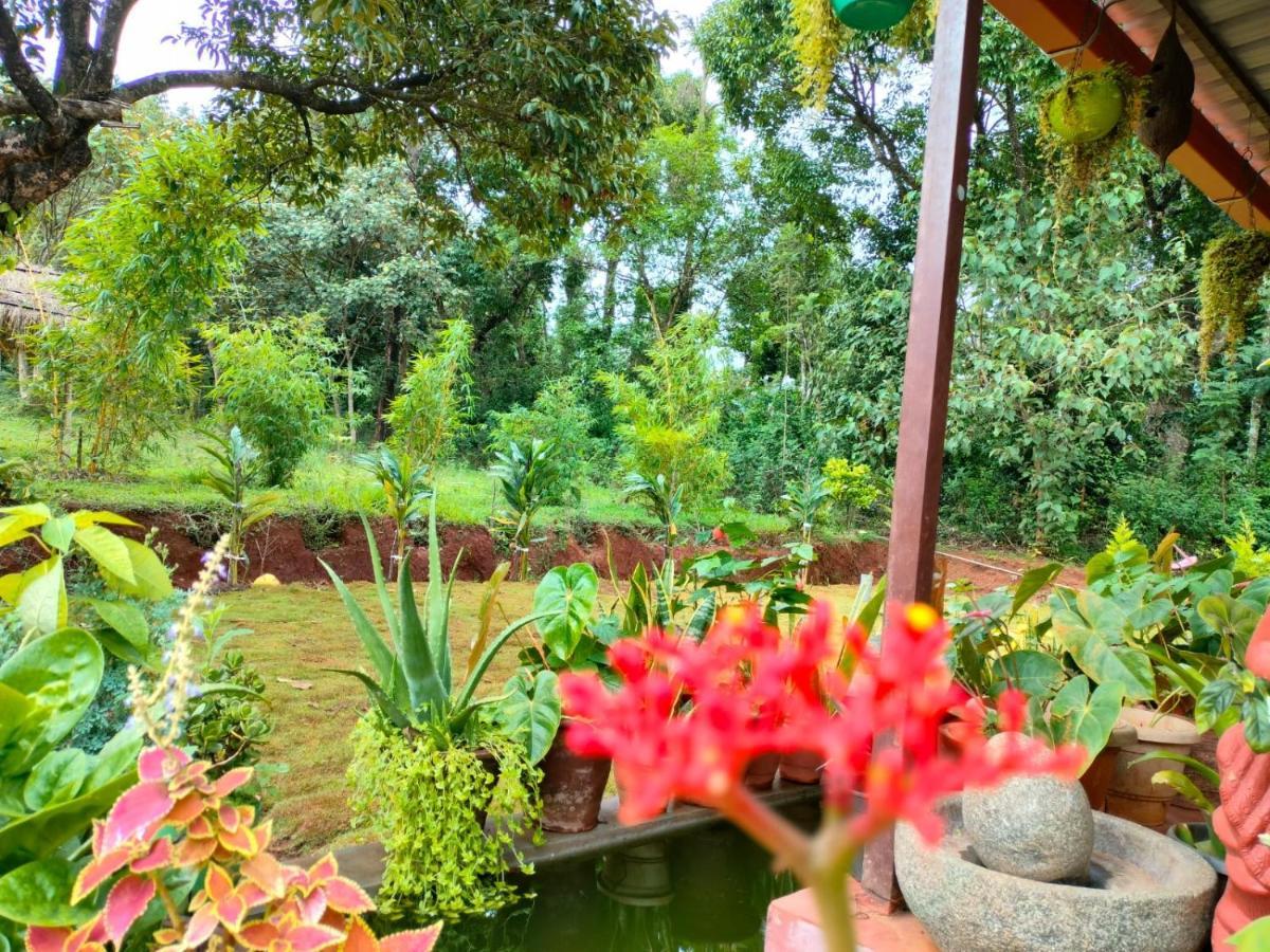 Coorg Coffee Park Farmstay Somvārpet Exterior foto