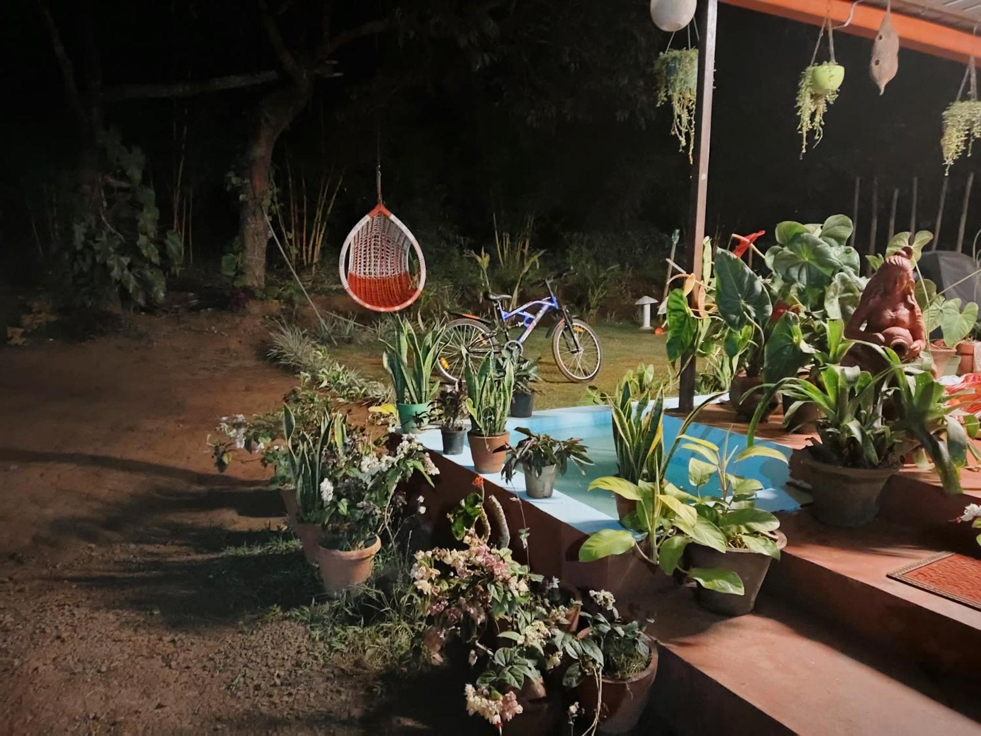 Coorg Coffee Park Farmstay Somvārpet Exterior foto